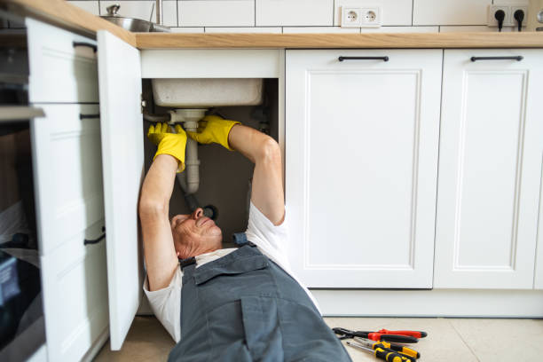 Best Local Plumber Services  in Wabasso Beach, FL